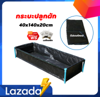 [ไม่รวมโครง]กระบะปลูกผัก ขนาด40x140x20cm ทำจากวัสดุHDPE ทนทนใช้งานได้ยาวนาน