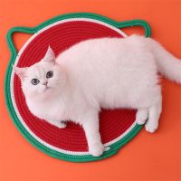 Cat Sleeping Mat Summer Dog Mattress Functional Pet Food Bowl Mat Cool Cozy Cat Bed Special Mat For Pets In Summer