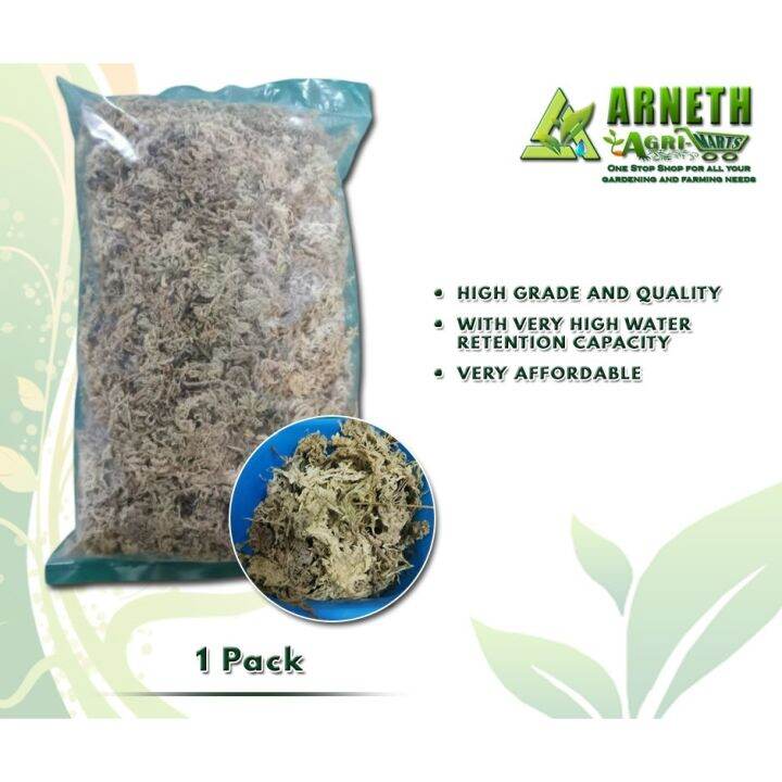 BEST QUALITY SPHAGNUM MOSS IMPORTED(1 PACK) Lazada PH