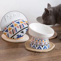 Ceramic Tilted Elevated Cat Dog Bowl Raised Cat Food Water Bowl Dish no spill Comfort Feeding Bowls with Mat
