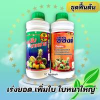 อะมิโนสาหร่ายน้ำ+ซีซิงค์ *ชุดทำใบ* เพิ่มใบ ฟื้นใบ ฟื้นฟูต้นโทรม  ใบหนา ขยายใบใหญ่ *1ชุด2ขวด*ผสมได้ 600-1000ลิตร