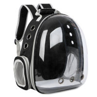 Puppy Space Cat Backpack Dogs Cats Rabbit Portable Breathable Outdoor Walking Side With Storage Pockets Pet Travel Bag