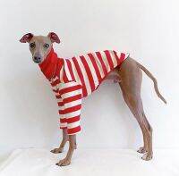 Paian Leher Tinggi Lucu Colorblock Italia Greyhound Paian Katun Melar Paian An Anjing Whipppet/Bellington Paian Medium