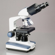 Kính hiển vi 2 mắt Amscope 2000x khám phá vi sinh vật, tế bào
