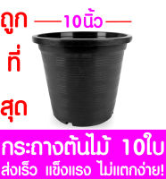 กระถางต้นไม้ กระถางพลาสติก ขนาด 10 นิ้ว 10ใบ กระถางกลม กระถางต้นไม้พลาสติก กระถางปลูกต้นไม้ กระถางดำ กระถางพลาสติกดำ Flower pot