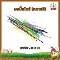 เคเบิ้ลไทร์ (หลากสี) สายรัด Cable tie