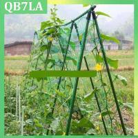 4 Sizes Garden Plant Climbing Net Stand Holder Green Nylon Trellis Netting Mesh Support Bean Growing Fence Net Line QB7LA Shop