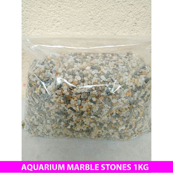 AQUARIUM MARBLE STONE 1KG Lazada PH