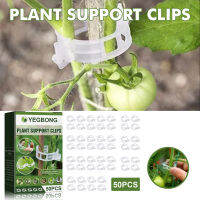 Plant Support Clip, Gardening Plant Fixing Clip, Tomato Climbing Clip, Vine Clip, Branch Clip, 50pcs GOULD