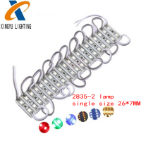 ไฟแบคไลท์ LED 2ดวงขนาดเล็ก20ชิ้นไฟ LED กระแสตรง12V 2835 SMD ไฟแบ็คไลท์ LED IP65กันน้ำสีแดงสีเขียวสีฟ้าสีเหลืองขาว