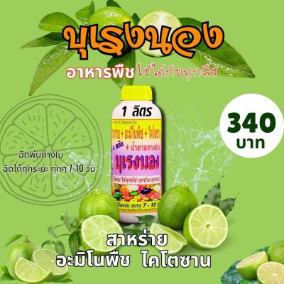 พร้อมส่ง💯 บุเรงนอง ขนาด 1 ลิตร อะมิโนพืช+สาหร่าย+ไคโตซาน+น้ำตาลทางด่วน อาหารพืช ใช้ฉีดพ่นทางใบ ฉีดพ่น มะนาว