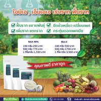 NAA 98% (1-Naphthalene acetic acid) #เอนเอเอ ผง #เอนเอเอ