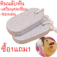 พร้อมส่ง หินนลับฟัน หินภูเขาไฟ ของเล่นนก สำหรับสัตว์ฟันแทะ กระต่าย ชินชิลล่า แกสบี้ แฮมสเตอร์ นก