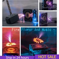 Bluetooth Music Tesla Coil Module High Frequency Voltage Generator Pulse Test Scientific Experiments Electronics DIY Kits