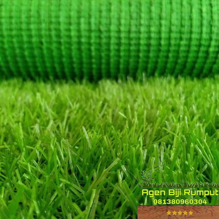 Karpet Rumput Sintetis Swiss Cmx Cm Lazada Indonesia