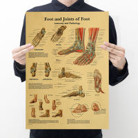 (ร้อน) 51x35เซนติเมตรโครงกระดูกของโครงสร้างร่างกายสมองประสาทโปสเตอร์ทางการแพทย์ประดับห้องจิตรกรรมกระดาษคราฟท์วินเทจผนังสติ๊กเกอร์