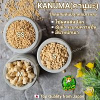 ดินญี่ปุ่นKanuma‼️ขนาดบรรจุถุงละ1ลิตร