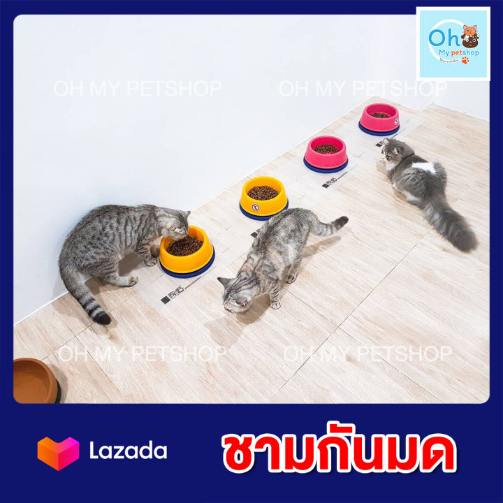 ชามกันมด-กันมด-สำหรับสัตว์เลี้ยง-no-ant-pet-bowl