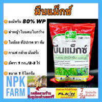 มีนแม็กซ์ ขนาด 1 กิโลกรัม อะมีทรีน 80%wp ผง อามีทรีน เจียไต๋ กำจัดหญ้า ใบแคบ ใบกว้าง ใน อ้อย ส้ม ชา กาแฟ มันฝรั่ง กล้วย ของแท้ ผลิตใหม่