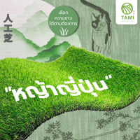 หญ้าเทียม ญี่ปุ่น เกรดเอ แบรนด์ ทามิกลาส Tmigrass แบ่งขาย หน้ากว้าง1,2ม. ความสูง 0.8-2.5ซม หญ้าปลอม ปูพื้น สวน Aritificial Grass Turf Tami มิตสห