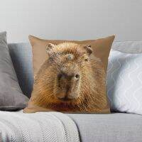 Capybara หลับในแสงแดดพิมพ์โยนหมอนคลุม Comfort ปลอกเบาะรองนั่งตกแต่งโซฟาอะนิเมะหมอนใช้ในบ้านนุ่มไม่รวม