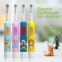 【LZ】❄♤☫  Escova de Dentes Elétrica Rotativa Infantil dos Desenhos Animados Alimentada a Bateria 4-14 Anos de Idade Cabeça Pequena Nova