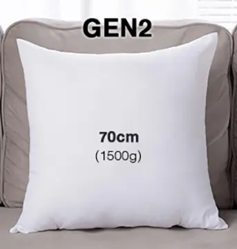 45cm X 45 Cm Cushion Insert - Best Price in Singapore - Oct 2023