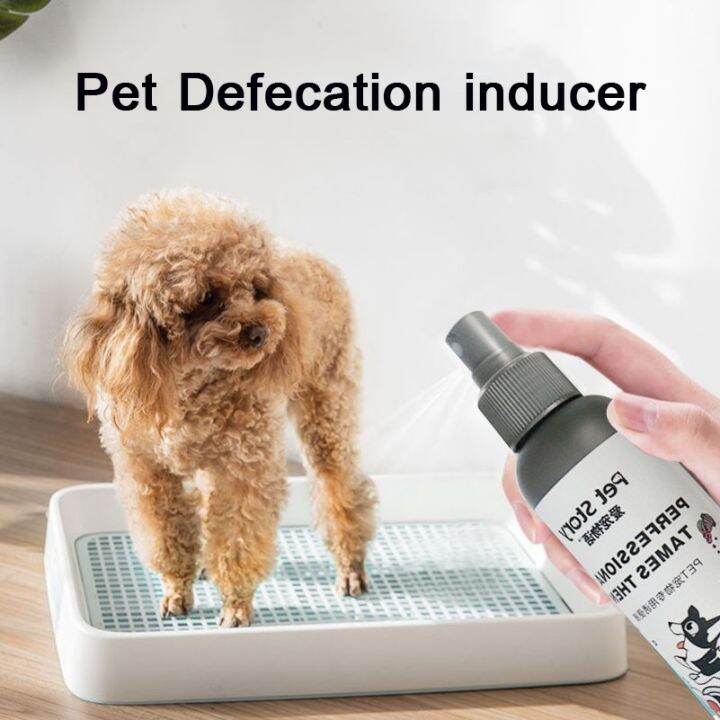 50ml Pet Defecation inducer Dog Pee Inducer Guided Toilet | Lazada PH