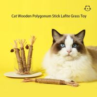 Pet Cat Wooden Polygonum Stick Lafite Grass Cat Toy Molar Stick Catnip Cat Tooth Cleaning Silvervin Stick Cane Pet Supplies Toys Toys