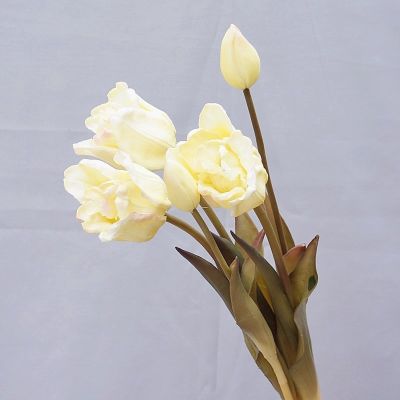 [AYIQ Flower Shop] 5ชิ้น/พวงสัมผัสจริงซิลิโคนพิสดารดอกทิวลิปหรูหราดอกไม้ประดิษฐ์ตกแต่งบ้านถ่ายภาพงานแต่งงานตกแต่งดอกไม้