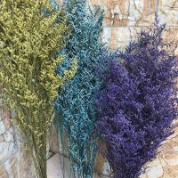 35g/30 35CM Decorative Dry Natural Lover Grass Dried Preserved Dancing FlowersReal Forever Flower Grass BranchHome Decor