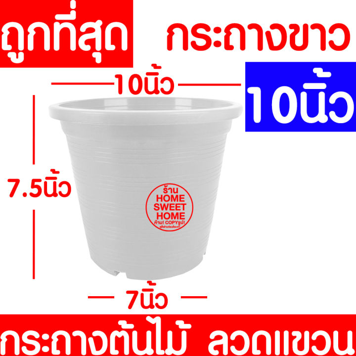 กระถางต้นไม้-ลวดแขวนกระถาง-กระถางขาว-ขนาด-10-นิ้ว-กระถางพลาสติก-กระถางกลม-กระถางต้นไม้พลาสติก-กระถางปลูกต้นไม้-กระถางดำ-กระถางพลาสติกดำ-flower-pot