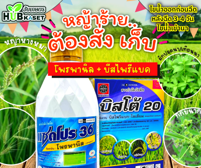 ชุดหญ้าร้ายต้องสั่งเก็บ แซดโปร36+บิสโต้20 1ลิตร+100กรัม (โพรพานิล+บิสไพรีแบค) กำจัดได้ทั้งวัชพืชใบแคบและกก