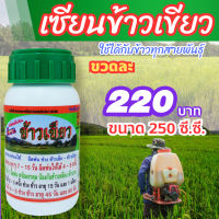 เซียนข้าวเขียว ขนาด 250 ซีซี. ฮอร์โมนข้าว ปุ๋ยฉีดข้าว ยาฉีดข้าว ปุ๋ยน้ำ อาหารพืช อาหารเสริมพืช ปุ๋ยเคมี ปุ๋ยสูตร ปุ๋ยทางใบ ฮอร์โมนพืช