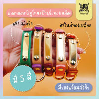 ปลอกคอหนังทูโทน + ป้ายชื่อทองเหลือง