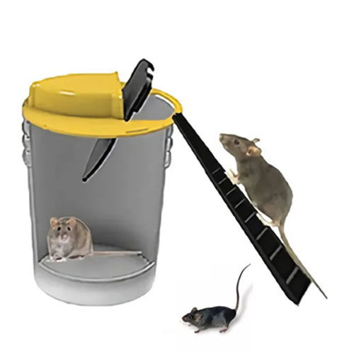 Mouse Trap, Flip N Slide Bucket Lid Mouse/Rat Trap with Ladder