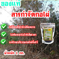 สารกำจัดไผ่ สารกำจัดต้นไผ่ สารกำจัดกอไผ่  สูตรเข้มข้น บรรจุ 1 กิโลกรัม ไผ่ทุกชนิดตายชัวร์ 100% ถึงรากถึงโคน มีคู่มือการใช้โดยละเอียด