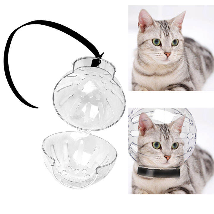 Cat hotsell accessories lazada