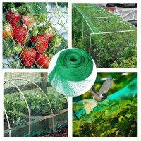 Orchard Anti-Bird Net Grape Cherry Greenhouse Balcony Fruit Tree Anti-Bird With Net Fish Pond Breeding Sky Net Nylon Net Outdoor