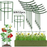 ที่ยึดกระถางต้นไม้พลาสติก6/8/12ชิ้นกระถางดอกไม้ตาข่ายปีนต้นไม้รองรับต้นไม้ครึ่งรอบ