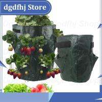 Dgdfhj Shop 5 7 10 Gallon PE Strawberry Planter Grow Bags Potato Pot Gardening Pots Flower Veg Tomato Planting Tools Container