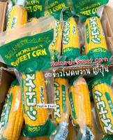 ส่งรถเย็นฟรี!✨?Hokuren Sweet Corn✨ ข้าวโพดหวานคุณภาพดี ส่งตรงจากJapan??‍?? กลิ่นหอมหวาน เต็มฝักทุกเมล็ด (ราคาต่อฝัก)