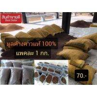 ยอดฮิต มูลค้างคาวร่อนเกรดA+ แท้100% จาก จ.ราชบุรี ขายดี ต้นไม้ ฟอก อากาศ กระถาง ต้นไม้ ไม้ ประดับ ต้นไม้ ปลูก ใน บ้าน