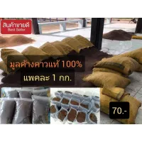 ( Promotion+++) คุ้มที่สุด มูลค้างคาวร่อนเกรดA+ แท้100% จาก จ.ราชบุรี ราคาดี พรรณ ไม้ น้ำ พรรณ ไม้ ทุก ชนิด พรรณ ไม้ น้ำ สวยงาม พรรณ ไม้ มงคล