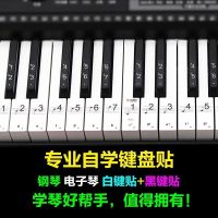 Creative 61 - key keyboard symbol letter phonetic keyboard stick on door employs kindergarten practice piano stick