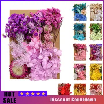 Hot Sale Dried Flowers Diy Art Craft Epoxy Resin Candle Making Jewellery  Home Party Decorative Dry Press Flowers Photo Prop