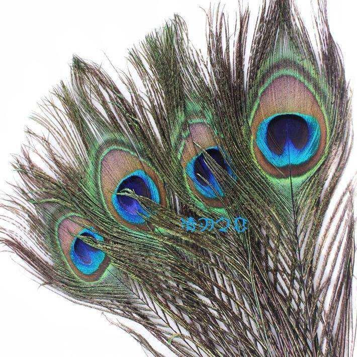 feathers-and-real-feathers-home-decorations-large-living-room-peacock-vases