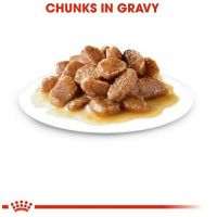 พลาดไม่ได้ โปรโมชั่นส่งฟรี อาหารสัตว์Royal Canin Pouch Gravy โรยัลคานิน อาหารเปียกแบบซอง สำหรับแมวโต