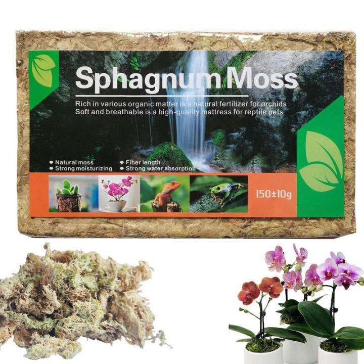 Natural Sphagnum Moss Nutrition Organic Fertilizer Orchid Sphagnum Moss