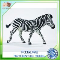 Safari Ltd. : SFR111489 โมเดลสัตว์ Zebra Model Action Figure Cartoon แอกชั่น ฟิกเกอร์ ของเล่น ของสะสม ของเล่นเด็ก ตุ๊กตา Mamy and Buddy